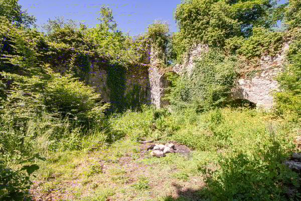 Historisches Burggebäude Wasserstelz in Lienheim 41