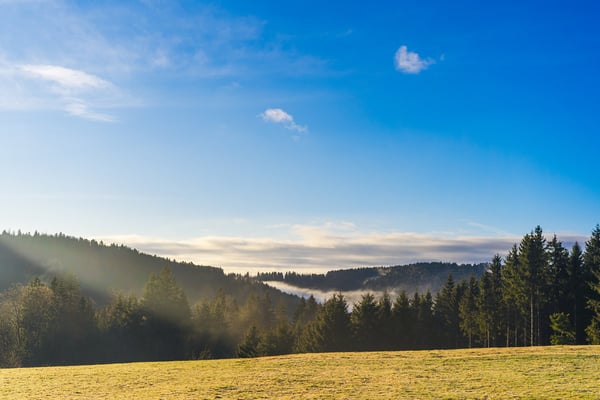 Pension Sternen - Charmantes Boutique-Hotel und Apartments inmitten von Natur und Stille in Todtmoos 42