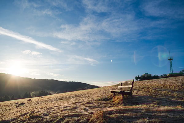 Pension Sternen - Charmantes Boutique-Hotel und Apartments inmitten von Natur und Stille in Todtmoos 43