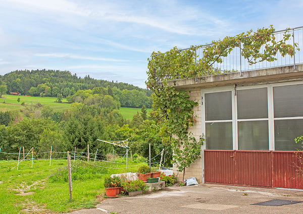 Traum vom eigenen Pferdehof - Wohnen in ländlicher Idylle in Bonndorf-Brunnadern 21