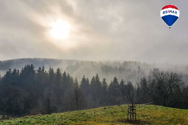 Traum vom eigenen Pferdehof - Wohnen in ländlicher Idylle in Bonndorf-Brunnadern 1