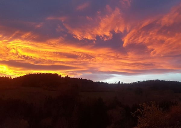 Traum vom eigenen Pferdehof - Wohnen in ländlicher Idylle in Bonndorf-Brunnadern 26