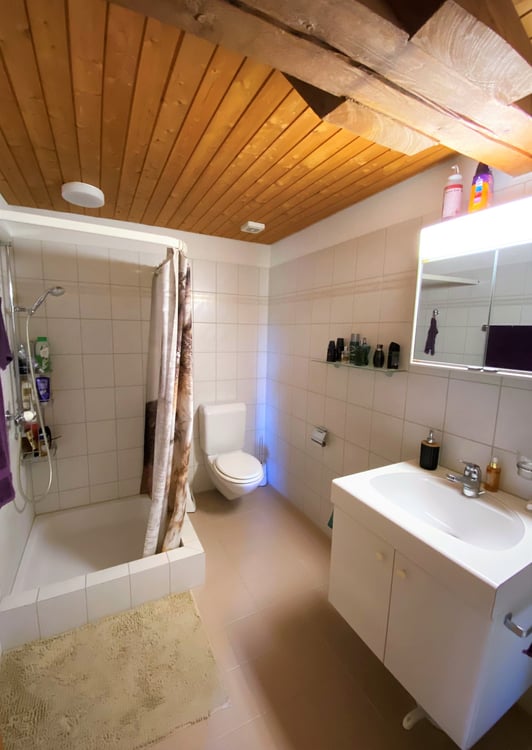4½-Zimmer-Maisonette-Dachwohnung im Grünen 8