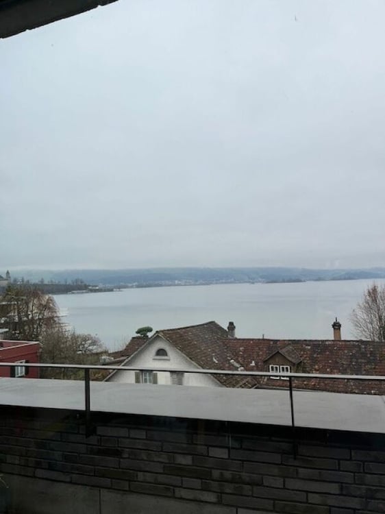 Attraktive 1.5 ZW Attika mit atemberaubender Aussicht in der Überbauung Seewiese wartet auf Sie! 14