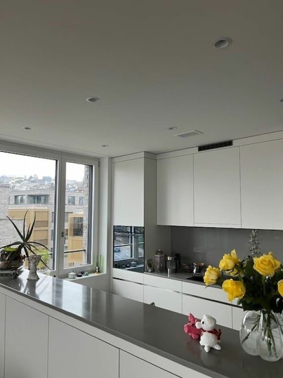 Attraktive 1.5 ZW Attika mit atemberaubender Aussicht in der Überbauung Seewiese wartet auf Sie! 4