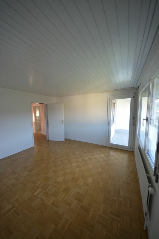 Familienfreundliche Wohnung im Grünen