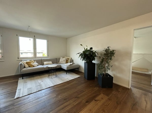 Frisch renovierte 4.5-Zimmer-Wohnung zu vermieten 3