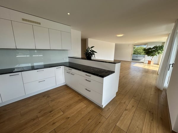 5.5- Zimmer-Attikawohnung im Eigentumsstandard gesucht? 6