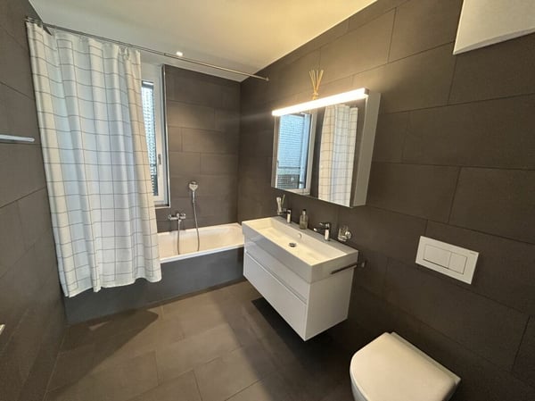 5.5- Zimmer-Attikawohnung im Eigentumsstandard gesucht? 11