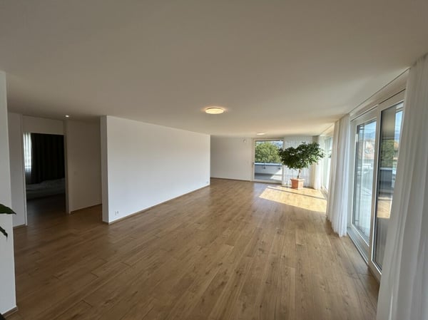 5.5- Zimmer-Attikawohnung im Eigentumsstandard gesucht? 4