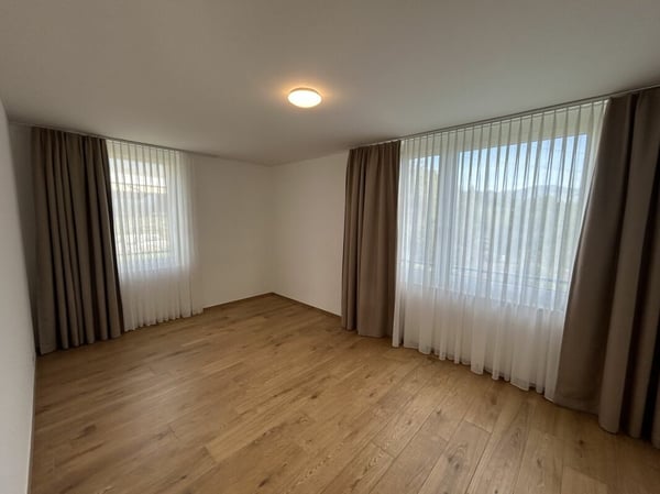 5.5- Zimmer-Attikawohnung im Eigentumsstandard gesucht? 12