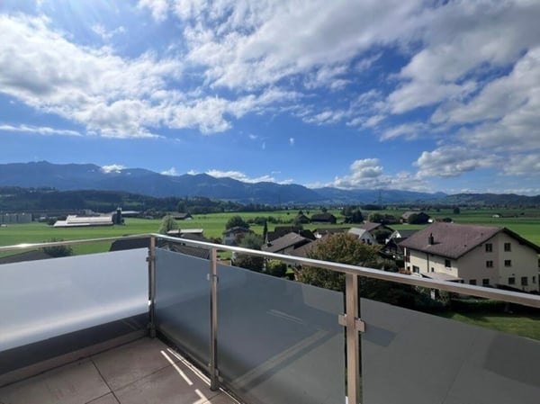 Traumhafte 4.5-Zimmerwohung mit grosszügigem Grundriss und Terrasse sucht Sie! 22