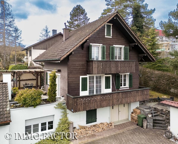 Bezauberndes Ensemble aus Chalet, Bungalow, Ateliergebäude & Schopf 3