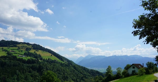 Gommiswald