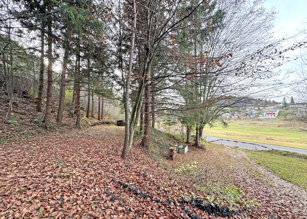 Attraktives Bauland in ruhiger Wohnlage von Schlatt 3