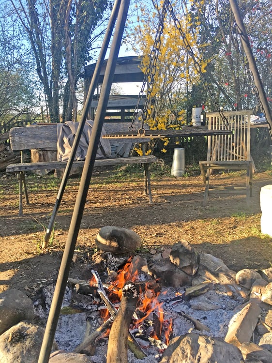 Charmantes Liebhaberobjekt, mit 6½ Zimmer, viel Holz und Wärme, mit Landwirtschaftsparzelle zur Thur 36