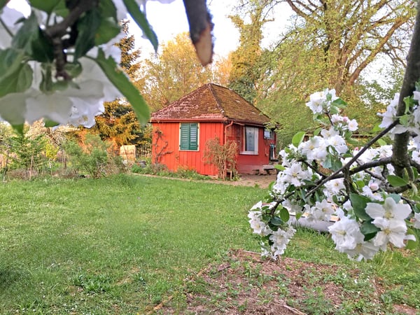 Charmantes Liebhaberobjekt, mit 6½ Zimmer, viel Holz und Wärme, mit Landwirtschaftsparzelle zur Thur 33