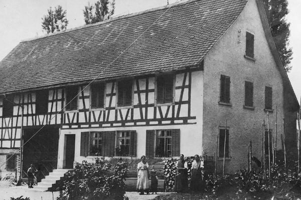 Landwirtschaftliches Anwesen mit Bauernhaus, div. Ökonomiegebäude und Wiesland , mit viel Potential 2