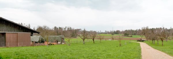 Landwirtschaftliches Anwesen mit Bauernhaus, div. Ökonomiegebäude und Wiesland , mit viel Potential 18