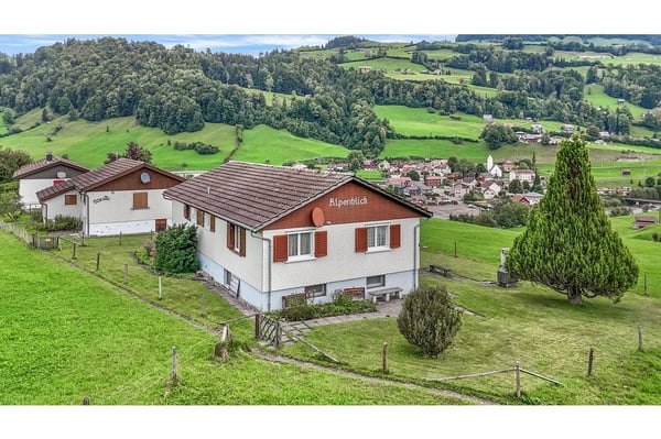 Einfamilienhaus: Ruheoase in Krummenau, St. Gallen 1