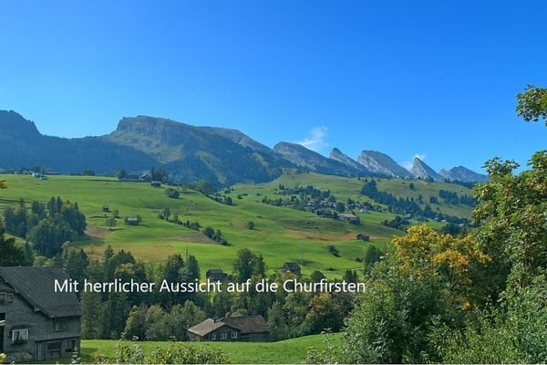 2 Zimmer Chalet in Wildhaus 3