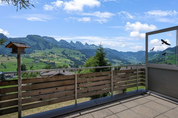 Ein Logenplatz über Wildhaus 3