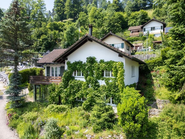 Sonniges Einfamilienhaus im Grünen 1