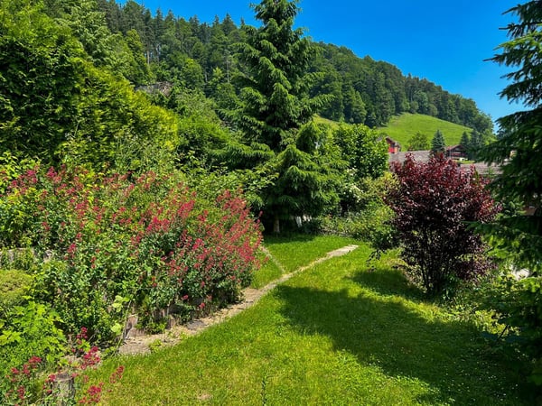 Sonniges Einfamilienhaus im Grünen 3