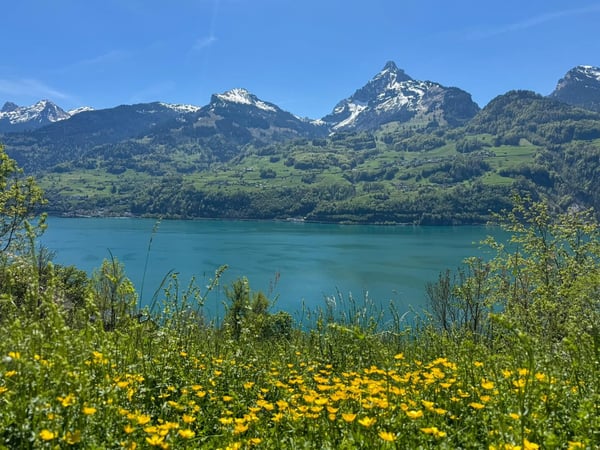 Naturparadies mit viel Ruhe, Sonne und Aussicht über den See 2