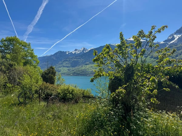 Naturparadies mit viel Ruhe, Sonne und Aussicht über den See 3