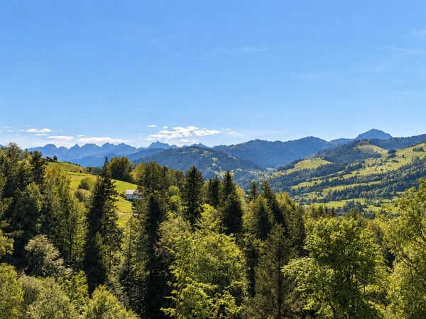 Familienparadies mit attraktiver Miet-Kauf-Möglichkeit 9