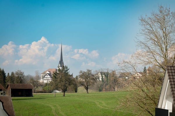 BAUSTART ERFOLGT! «Dorf Ottikon»: Freiraum und Wohnauswahl in einzigartigem Ensemble 11