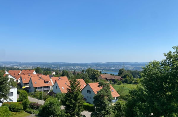 Neubau-Dachwohnung mit traumhafter See- und Weitsicht 4