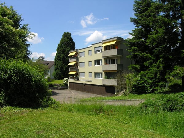 Lichtdurchflutete 4.5 Zimmerwohnung im Dachgeschoss 1
