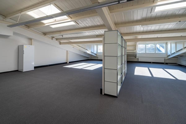 grosszügiger Büro- und Gewerberaum 2