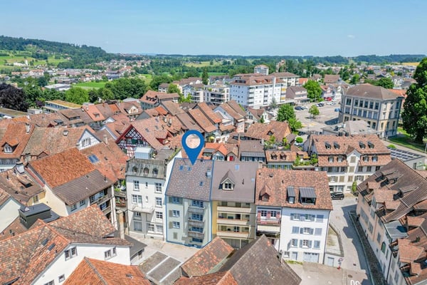 Charmantes Liebhaberobjekt mit attraktiver Rendite 1