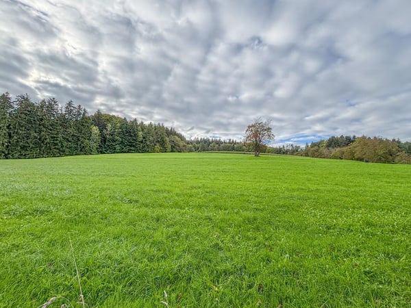gut besonntes Einfamilienhaus an ruhiger Lage 4