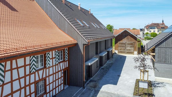 Muolen