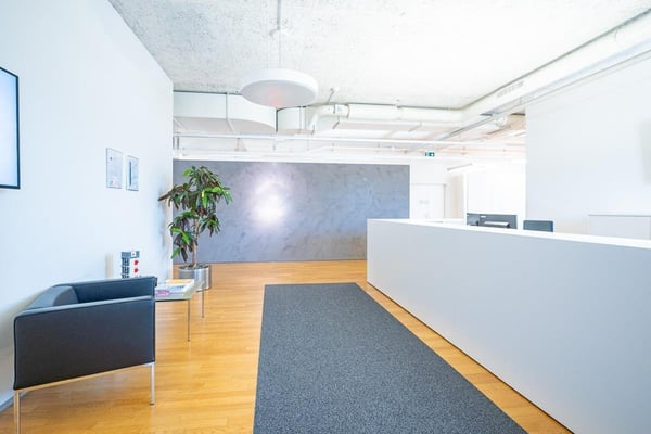 Bezugsbereite Fläche mit 500 m² - 1'350 m² 2