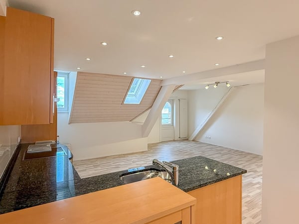 Maisonette-Wohnung mit Dachterrasse zur Alleinnutzung - Gratismonat! 2