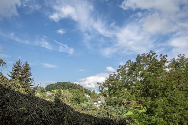 Gemütliche 1.5-Zi. Singlewohnung mit Balkon 3