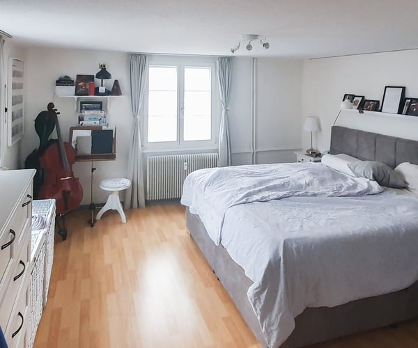 Grosszügige 2.5-Zi. Wohnung in Zentrumsnähe 4