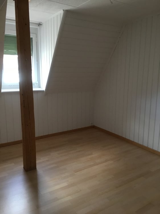 4.0-Zi. Dachwohnung mit Charakter 3