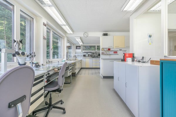 Gewerbeliegenschaft mit Studiowohnung 4