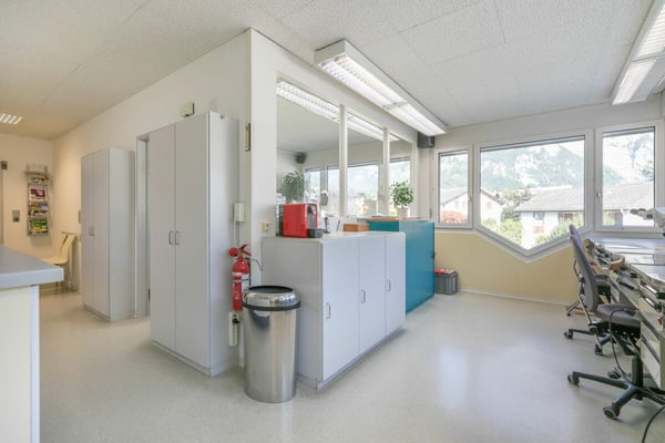 Gewerbeliegenschaft mit Studiowohnung 2