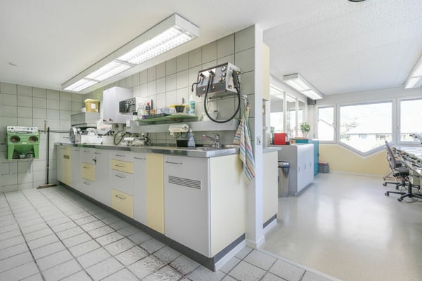 Gewerbeliegenschaft mit Studiowohnung 5