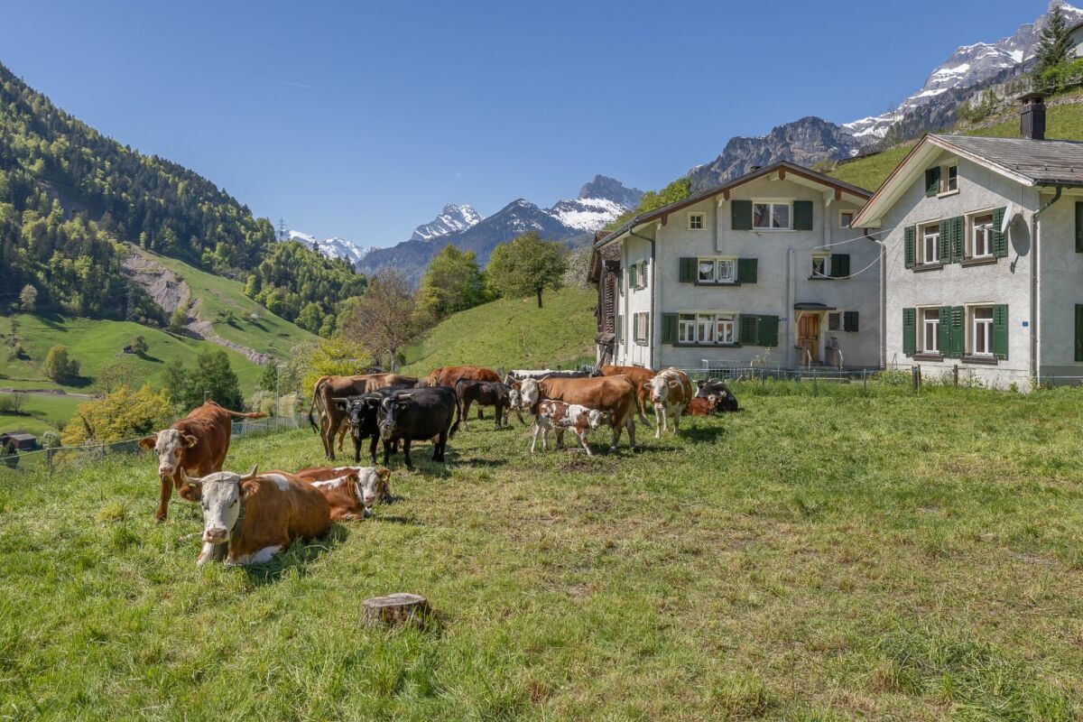 Neubau | 4.5-Zi-Atelierhaus