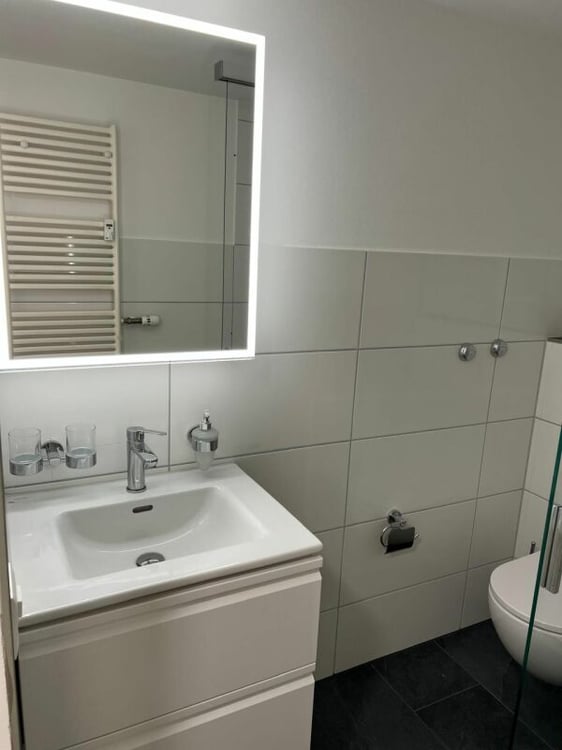 Sonniges Studio mit direktem Rheinblick 8