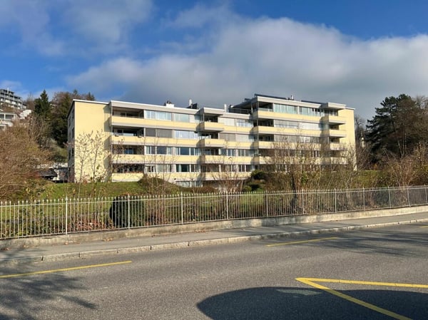 Sonniges Studio mit direktem Rheinblick 3