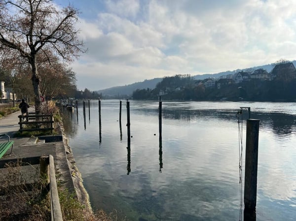 Sonniges Studio mit direktem Rheinblick 4